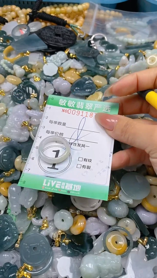 【闪购商品】翡翠颈饰未镶嵌闪购0091187