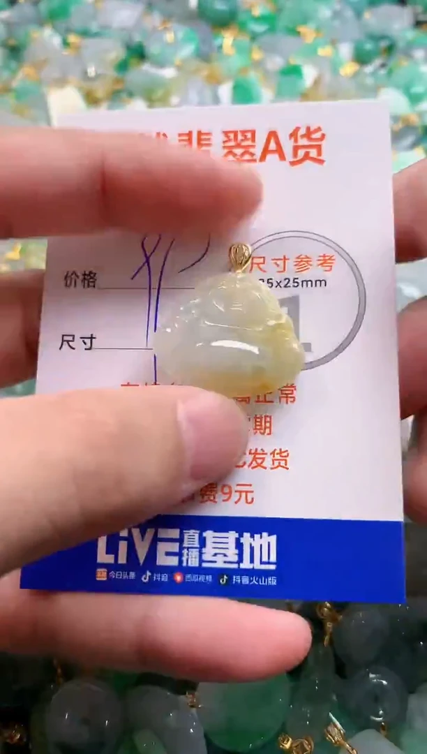 颈饰未镶嵌翡翠25100426