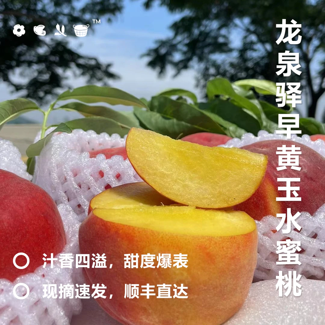 【6月限定】龙泉驿水蜜桃-早黄玉水蜜桃  甜过蜂蜜 现摘现发~