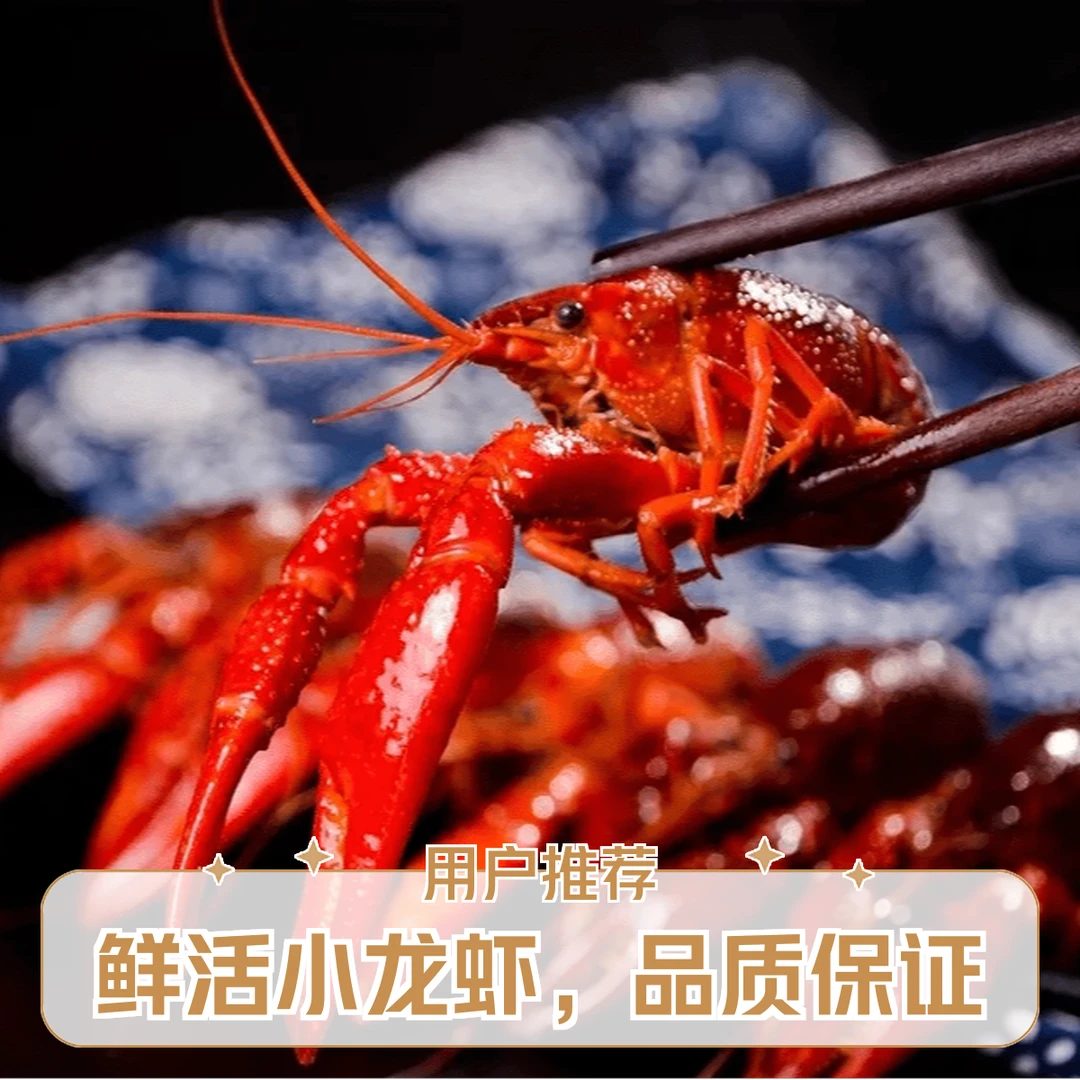小龙虾 （567规格）5斤/份吃海鲜海之道海鲜同城美食小时达一小时到家吃小龙虾小龙虾做法龙虾同城送