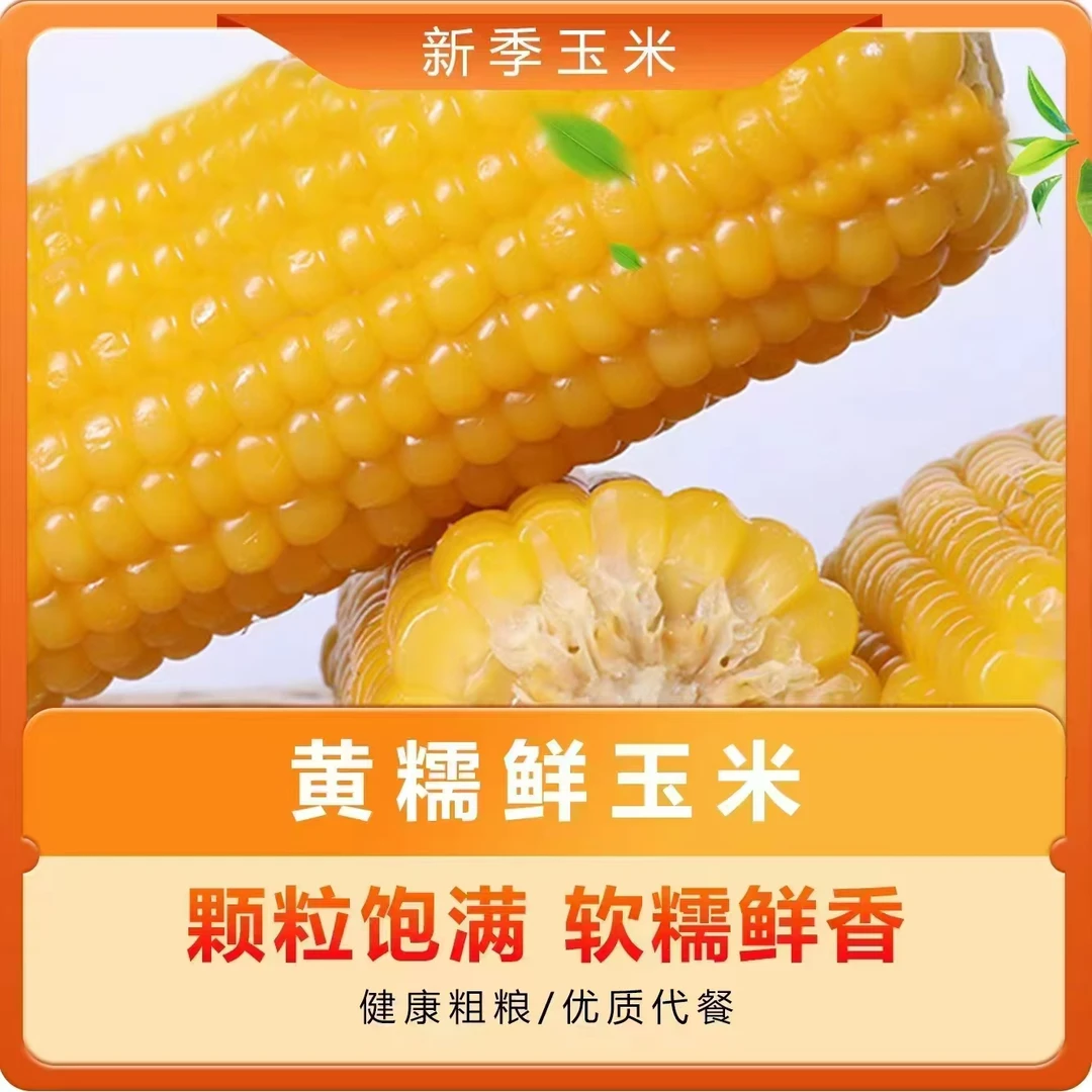 《福利》东北黑土地鲜玉米 带叶真空 8根
