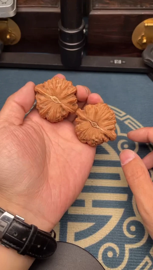 文玩核桃吊坠白狮子45