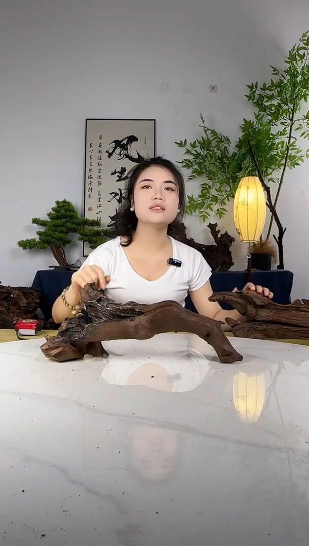 用****5拍这个定向编号15
