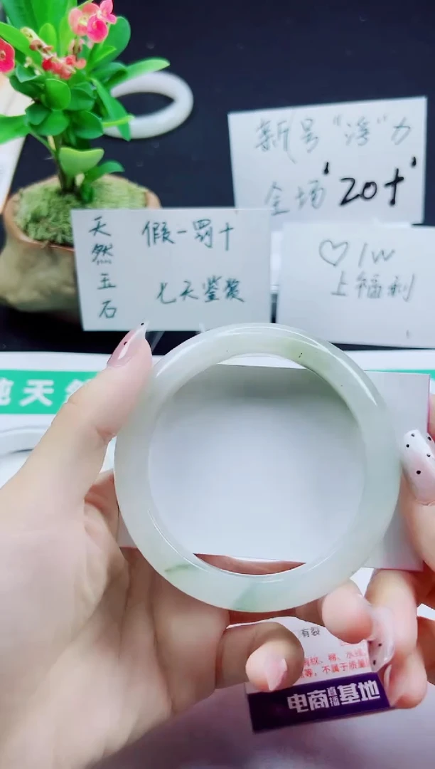 未镶嵌手镯石英质玉226-59/60