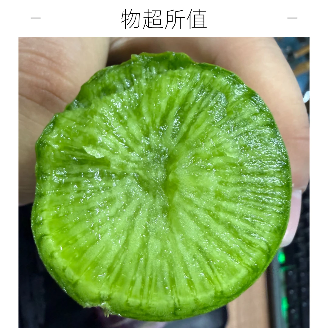 当季新鲜高铭萝卜五斤装沙窝潍坊甜脆不辣水果萝卜天星