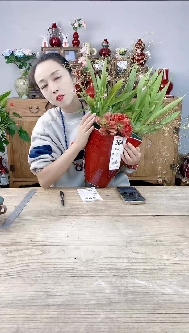 晴好园艺直播编号364