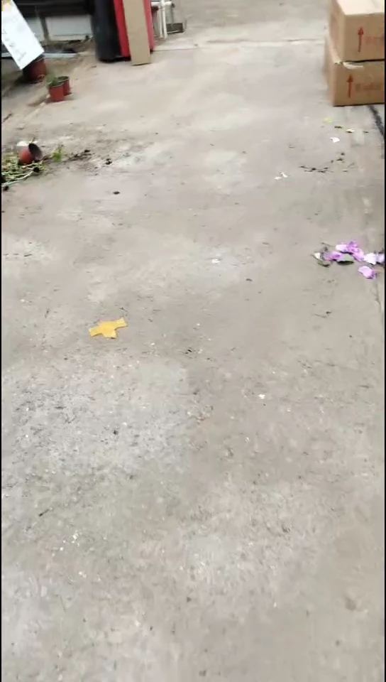 大部分开放少量花苞一点红福利