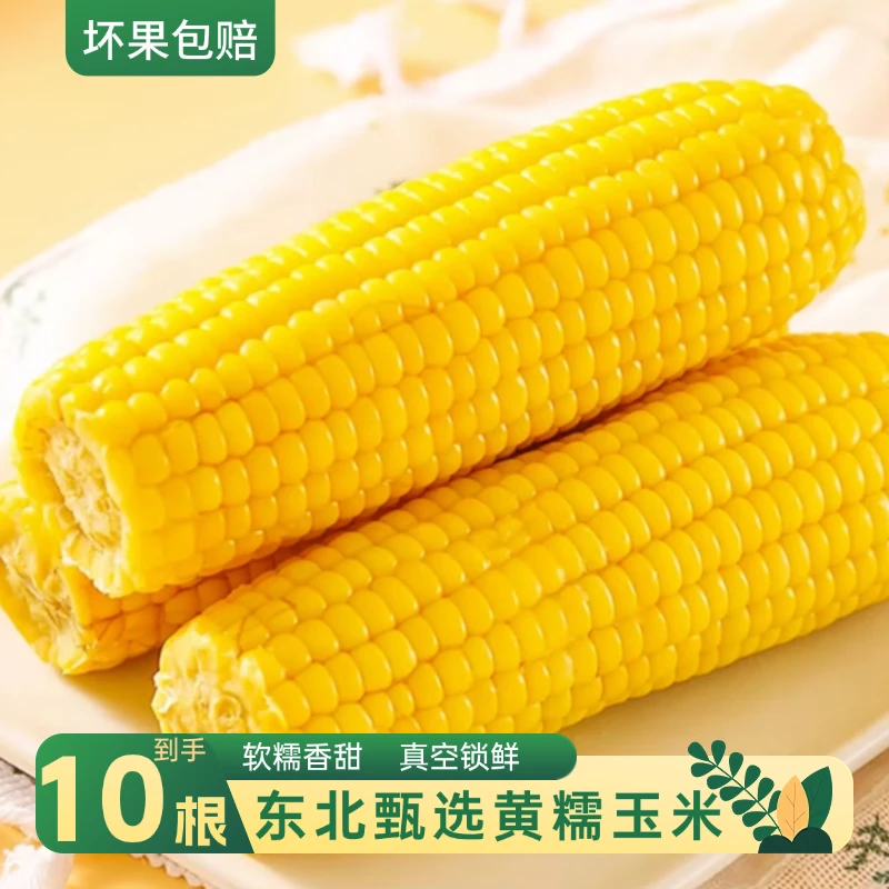【东方推荐甄选】黄糯玉米10根*240g真空锁鲜苞米早餐正宗糯甜玉米