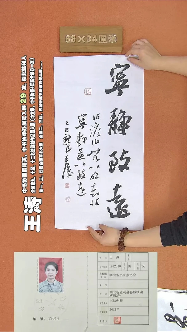 【闪购商品】书法246王涛书法作品