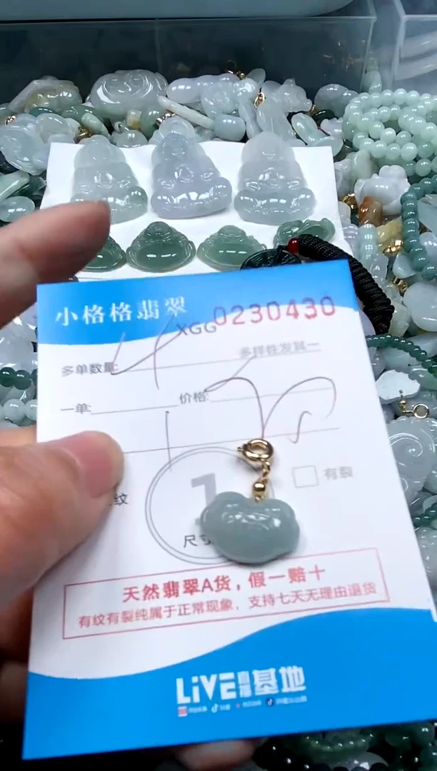 【闪购商品】翡翠颈饰未镶嵌闪购商品0230430多样性