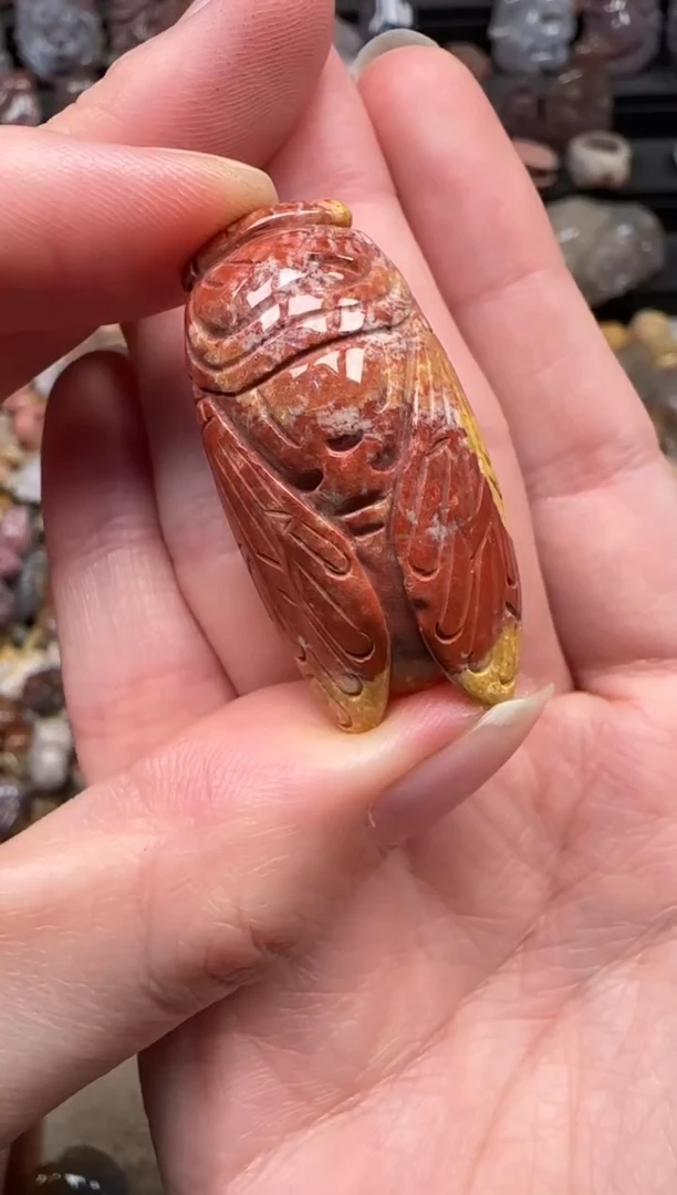 颈饰未镶嵌硅化珊瑚（珊瑚玉）895