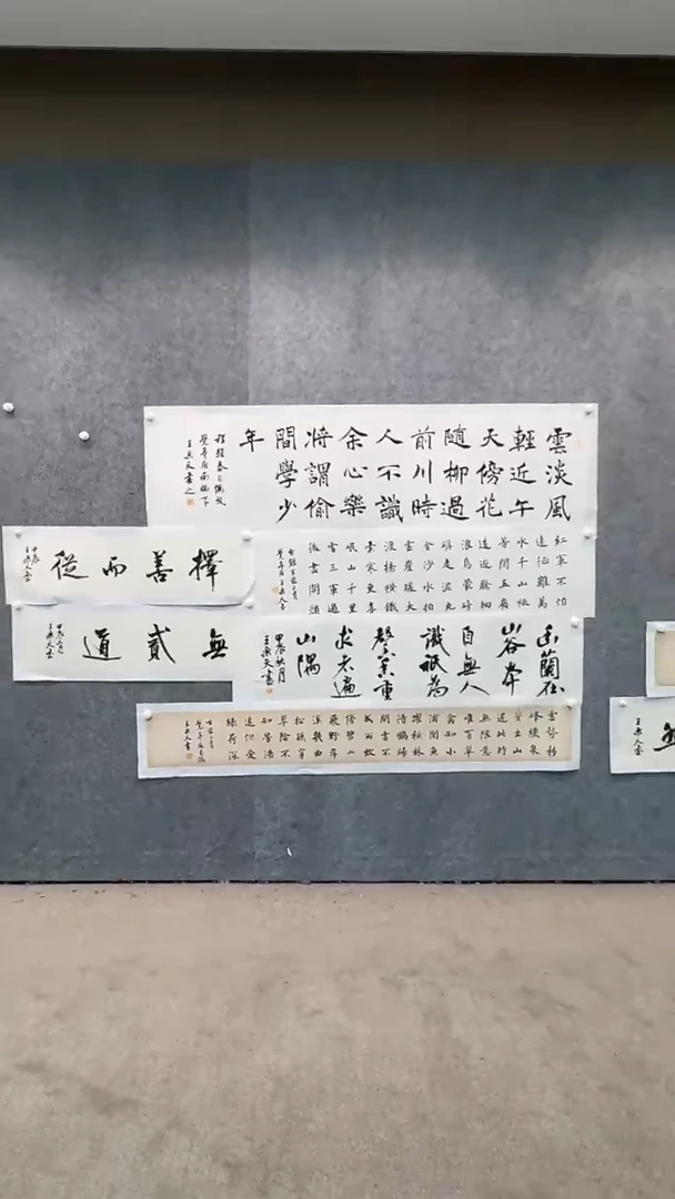 【闪购商品】书法pmw不二轩旗舰店书法WLT21