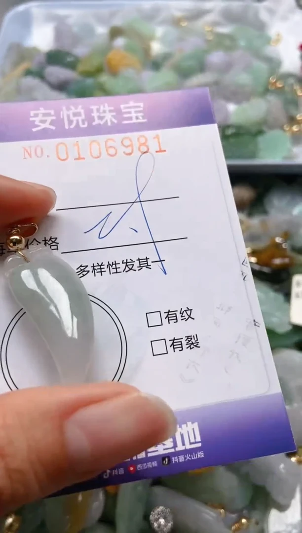 【闪购商品】翡翠颈饰未镶嵌闪购0106981