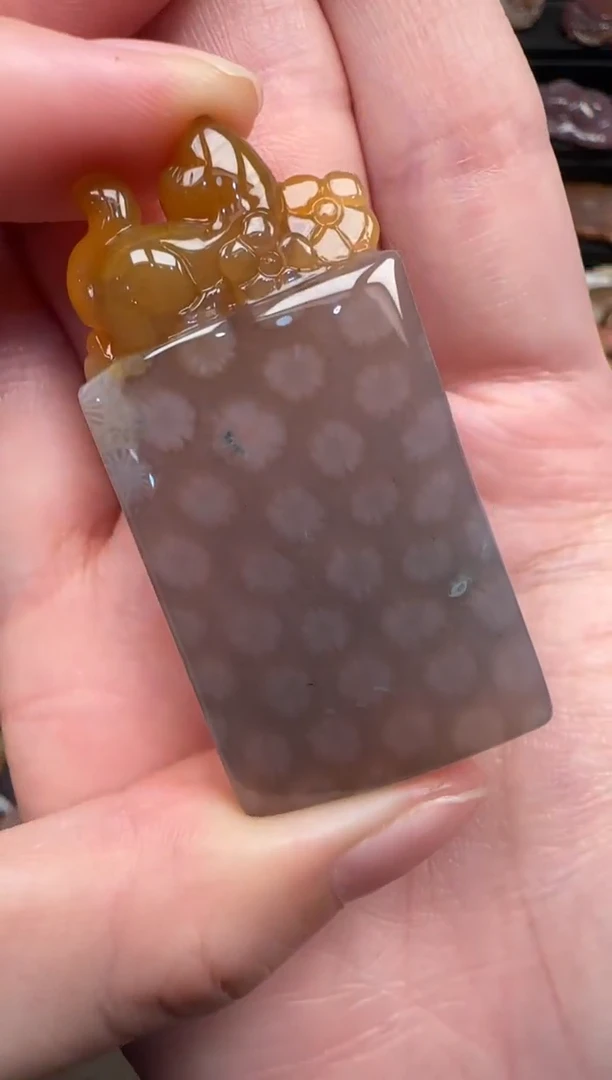 颈饰未镶嵌硅化珊瑚（珊瑚玉）583