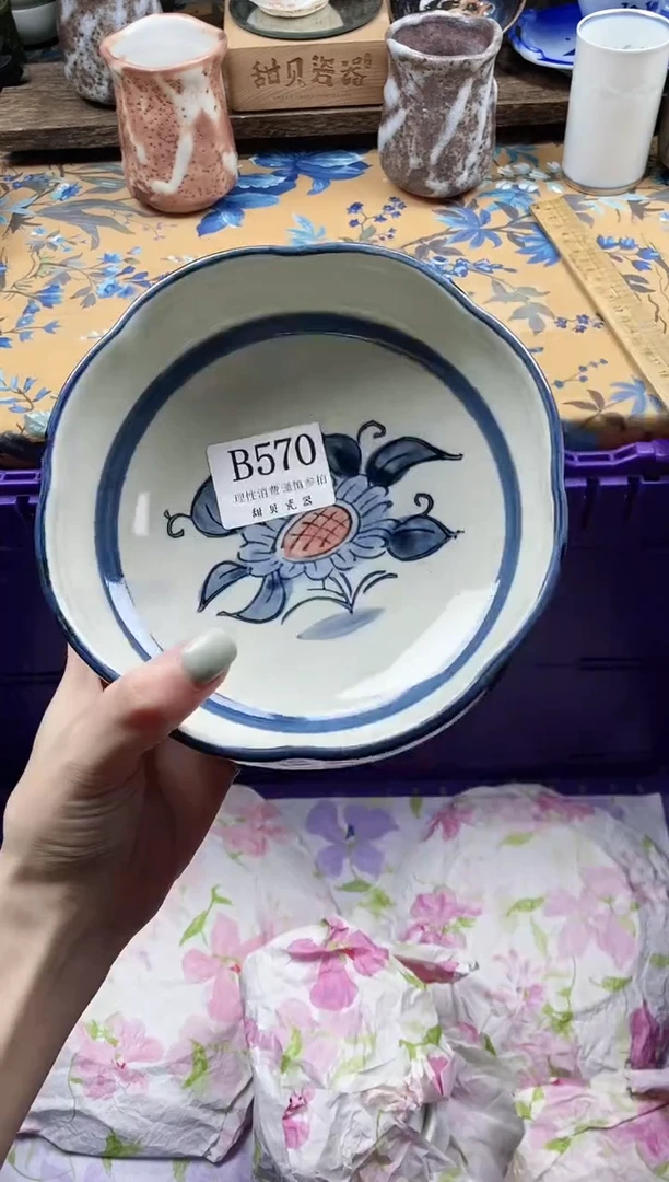 瓷片欢**学                B570