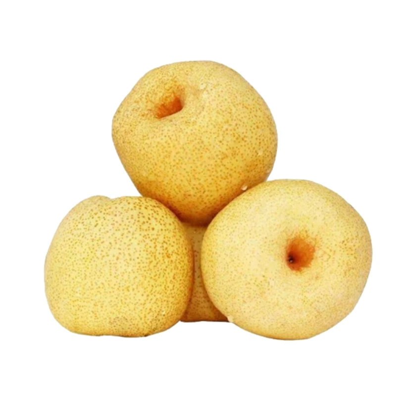 【新鲜水果】砀山梨约500g/份