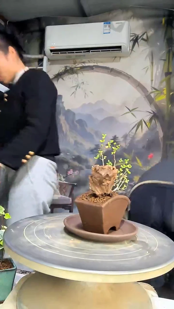 圆**吖中青园艺一物一拍花489