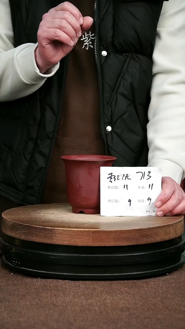 紫砂花盆花卉园艺713