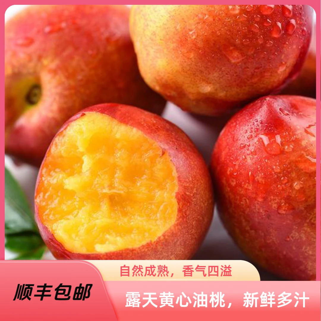 【顺丰冷链】山西运城黄心麻点油桃新鲜采摘鲜水果脆甜多汁软硬两吃