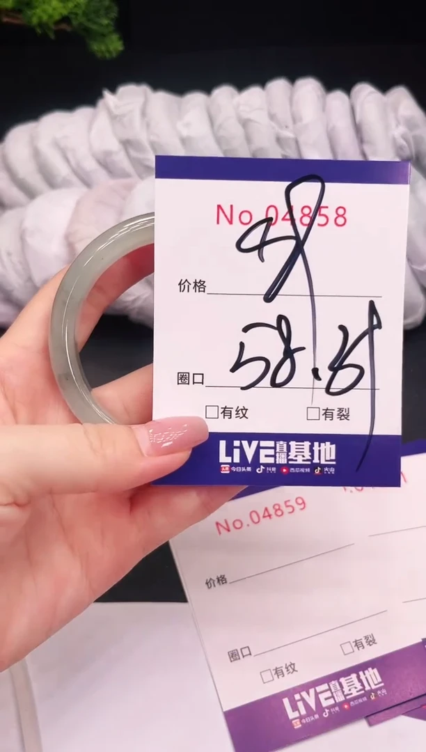未镶嵌手镯翡翠4858