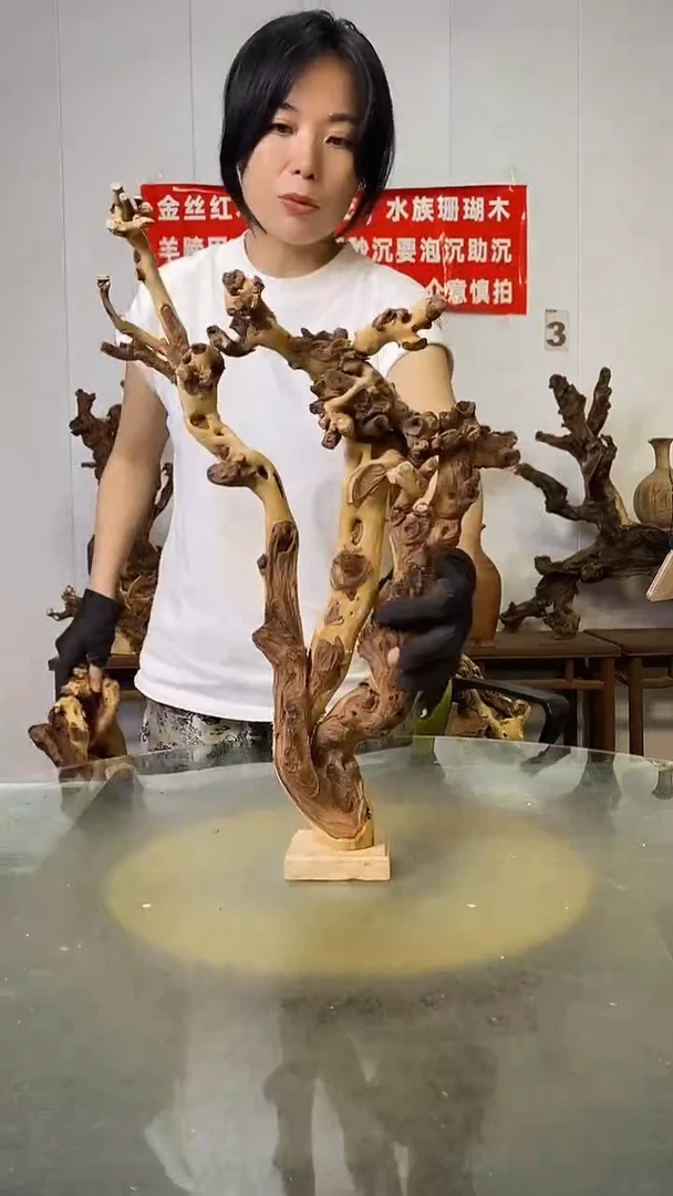 香榧木舍**?金丝红木   羊蹄甲