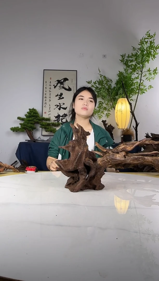 山***！拍这个定向编号6