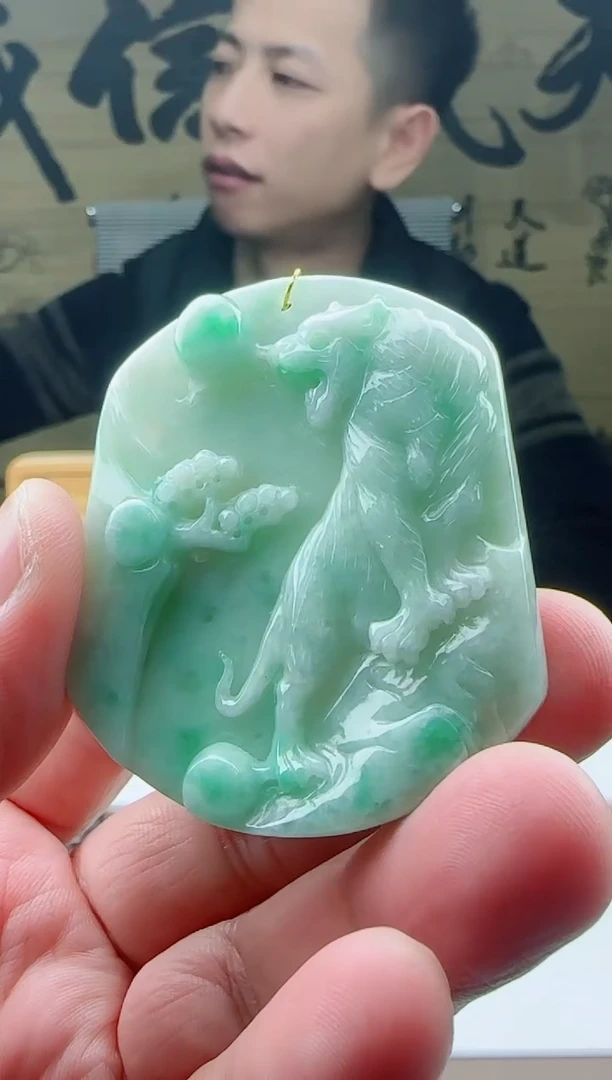 颈饰未镶嵌翡翠11111111111