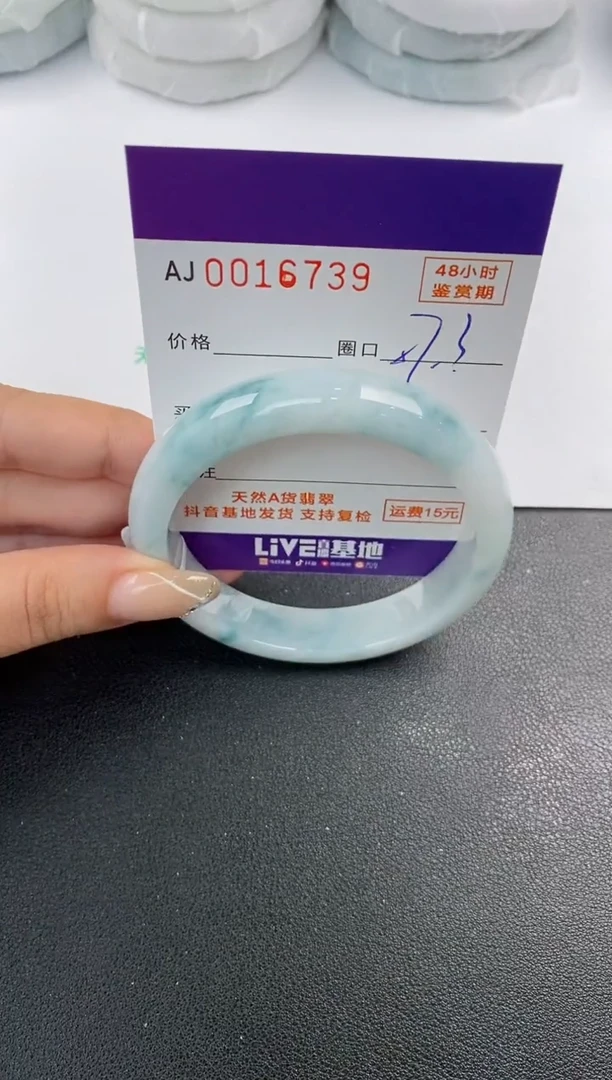 未镶嵌手镯翡翠天然A货翡翠