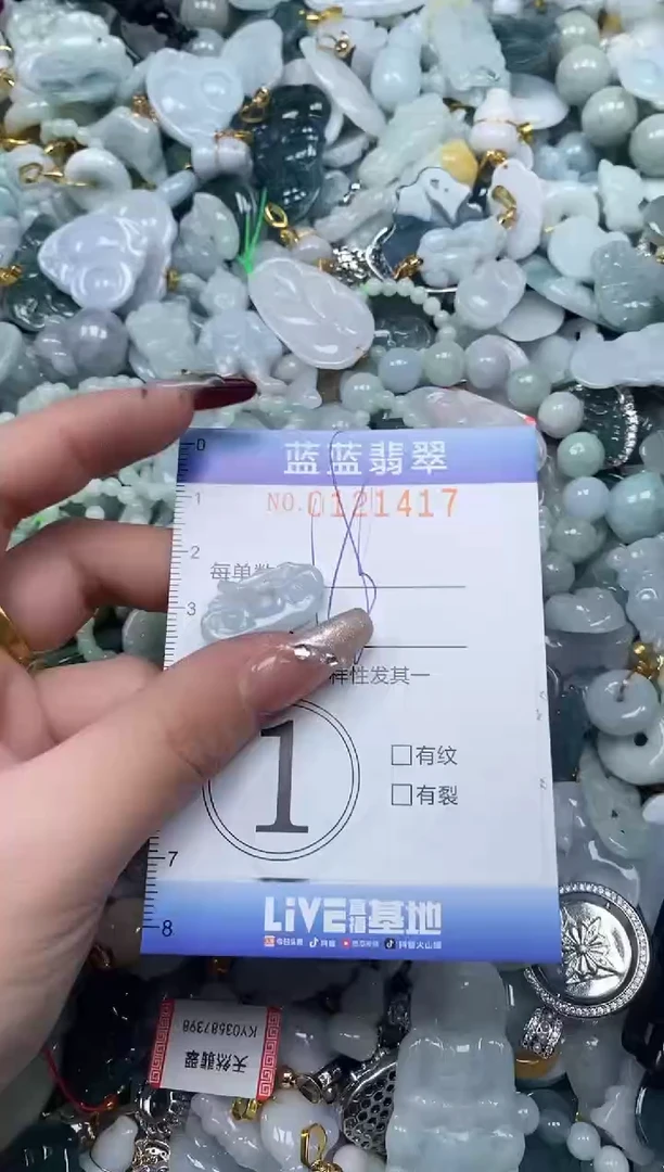 【闪购商品】翡翠颈饰未镶嵌闪购0121417