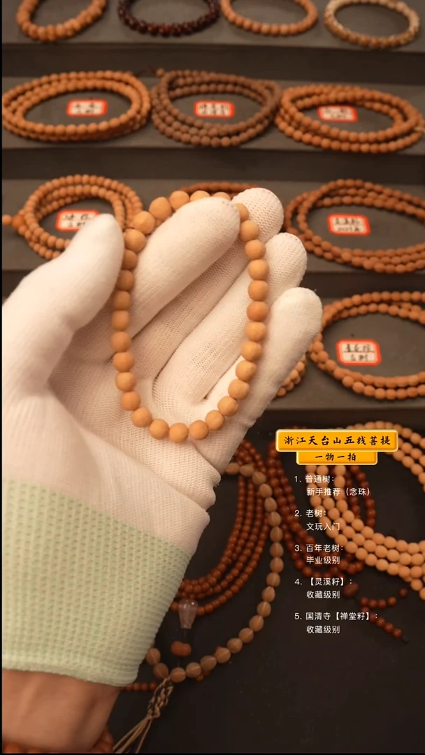 吊坠五线菩提蓓*y手串