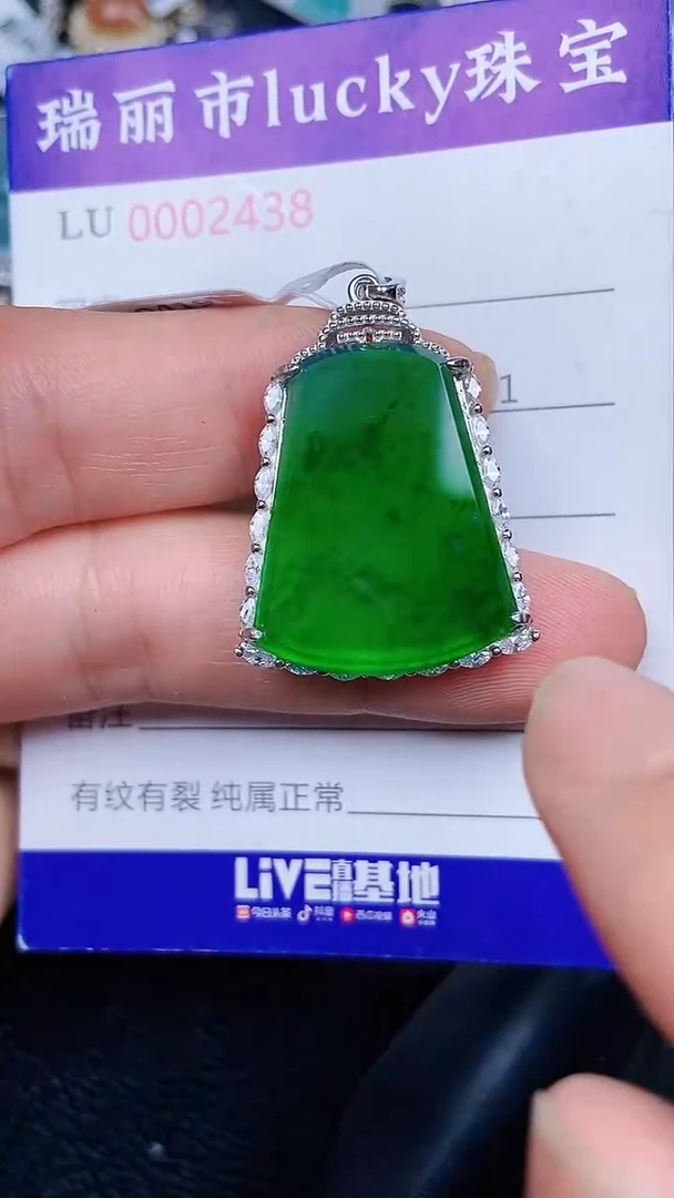 颈饰银S925镶嵌翡翠2438