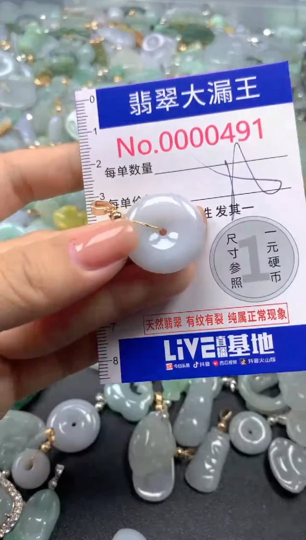 颈饰未镶嵌翡翠491