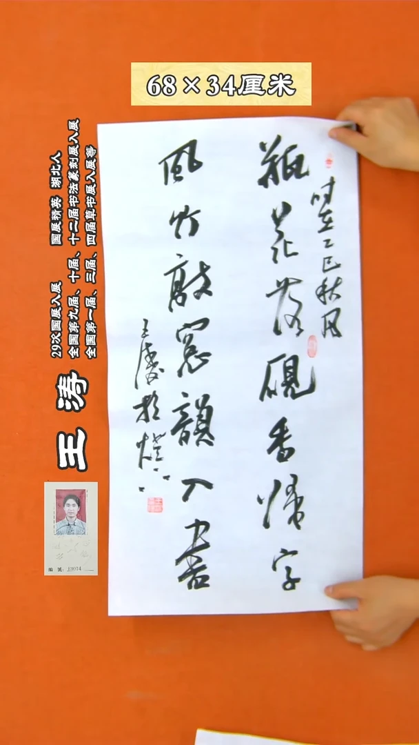 书法206R王涛书法作品