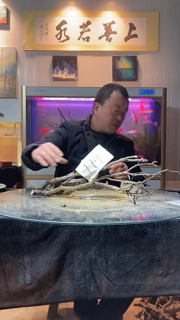 174号天然黄栎木