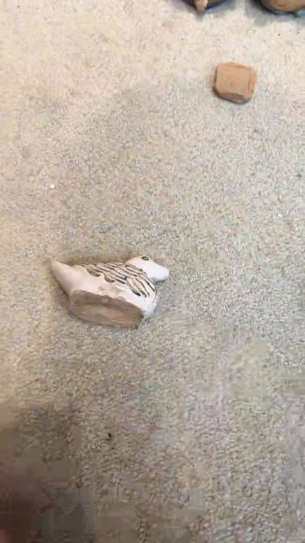 瓷片瓷片瓷片瓷片瓷片瓷片