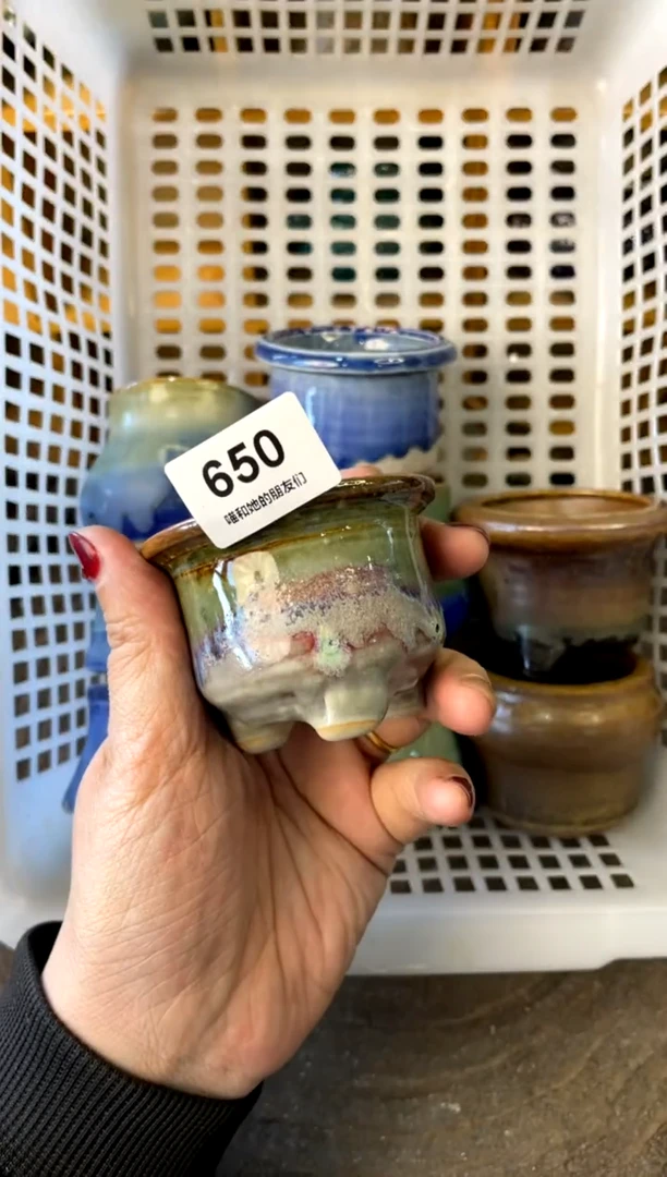 【闪购商品】陶650