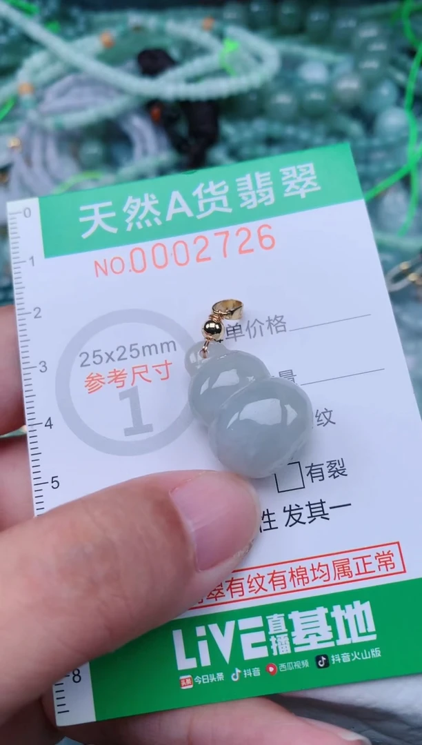 翡翠未镶嵌颈饰.0002726
