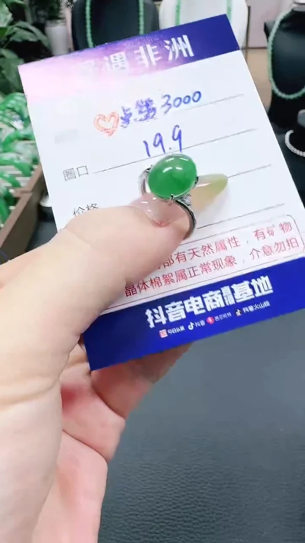 未镶嵌1石英质玉（非洲翠）?***️/8970