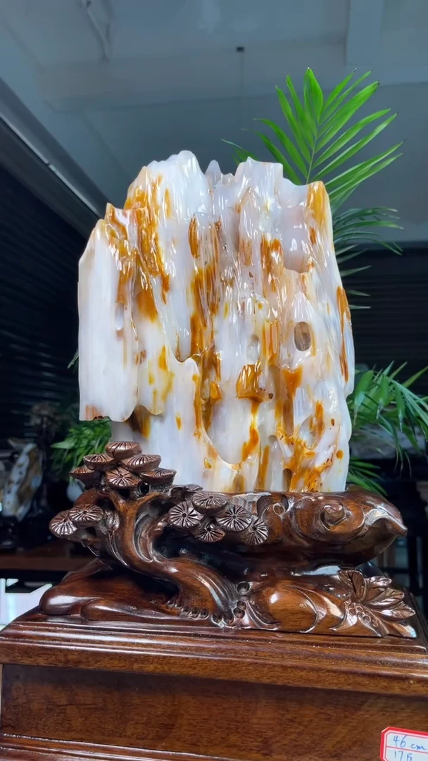 未镶嵌硅化玉（树化玉）珠宝奇石江****司2328
