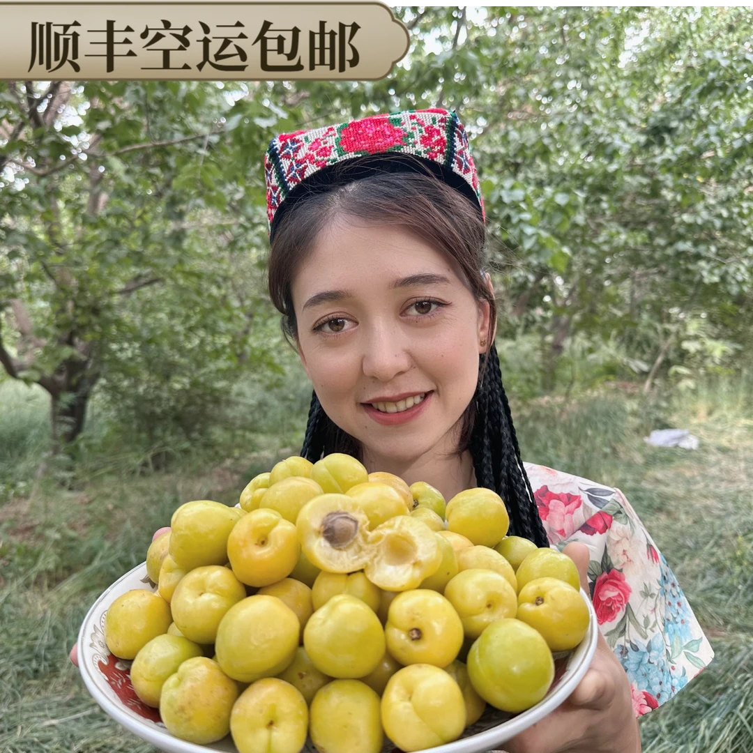 新疆库车小白杏（早熟三角杏）顺丰空运包邮