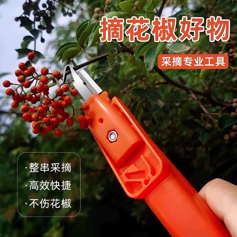 手握多功能摘花椒专用器具葡萄枸杞芸豆荔枝龙眼采摘通用剪刀工具