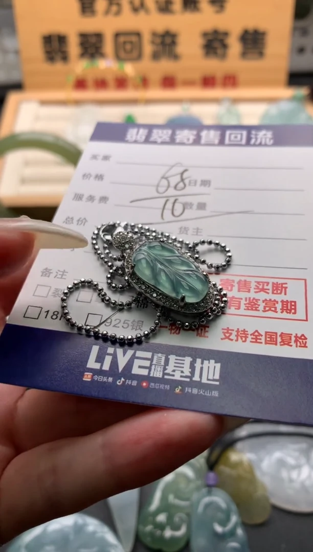 翡翠银S925镶嵌颈饰10138142