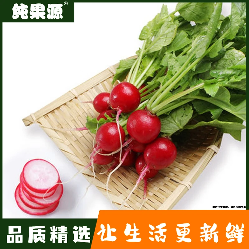 【纯果源小时达】樱桃萝卜【约1斤】
