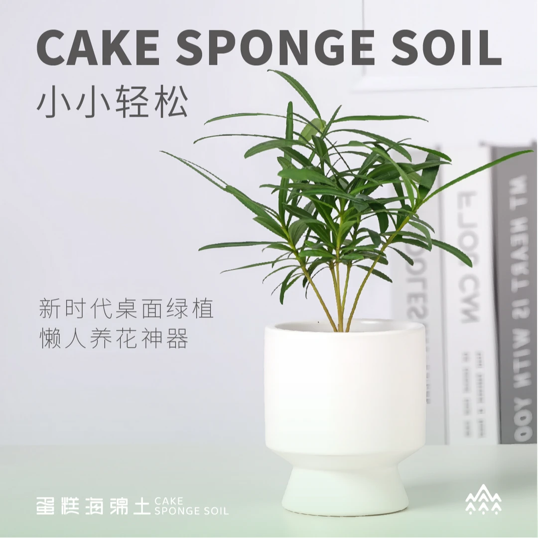 罗汉松盆栽绿植室内办公室庭院造型耐寒养护种植防辐射迎客桌面