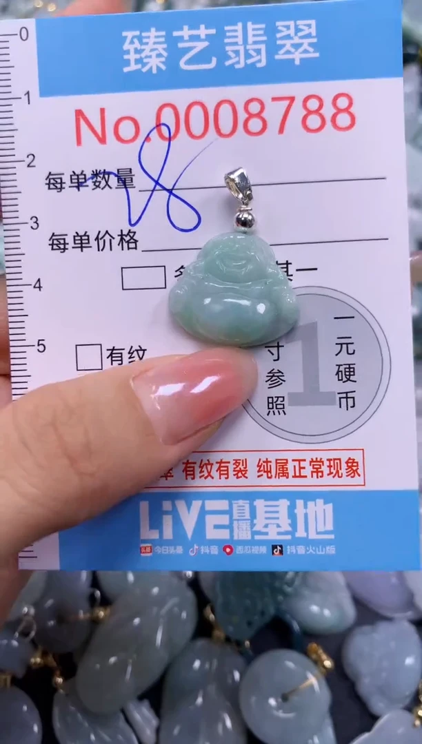 颈饰未镶嵌翡翠8788