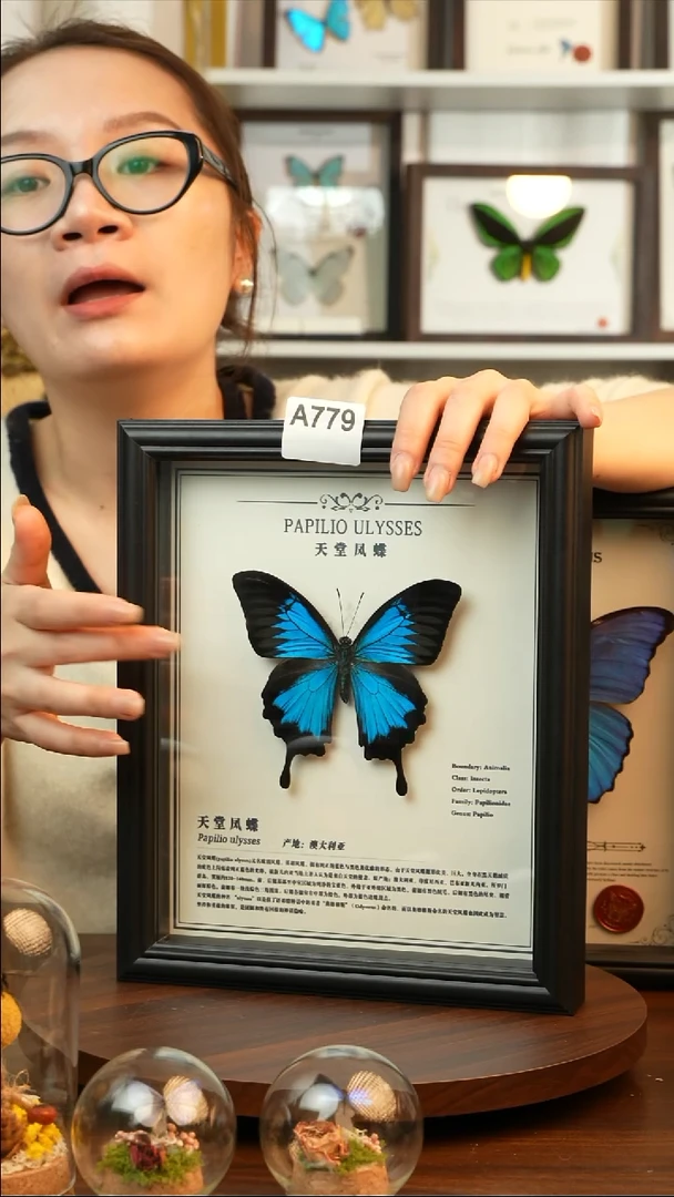 天堂凤蝶-中文（10寸欧式黑框）A779