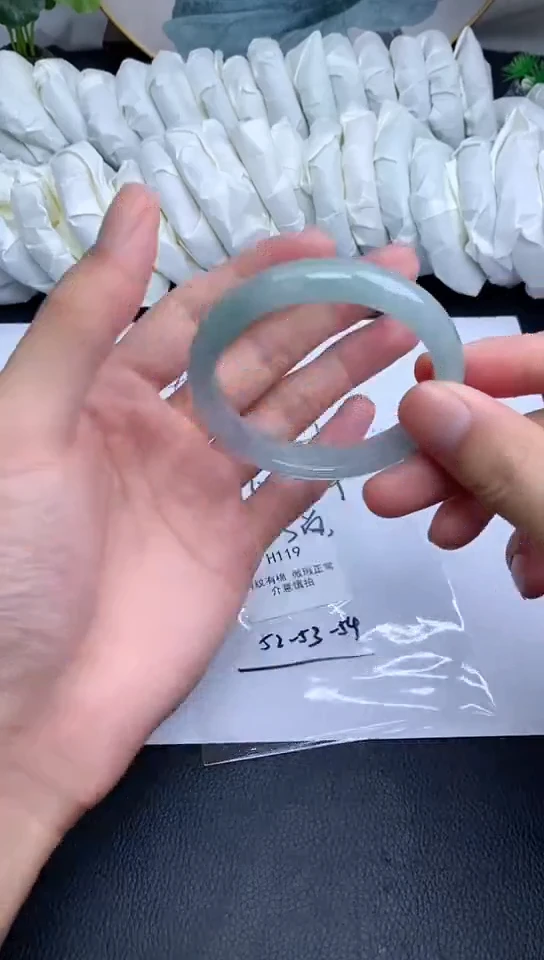 H119一物一图所见即所得