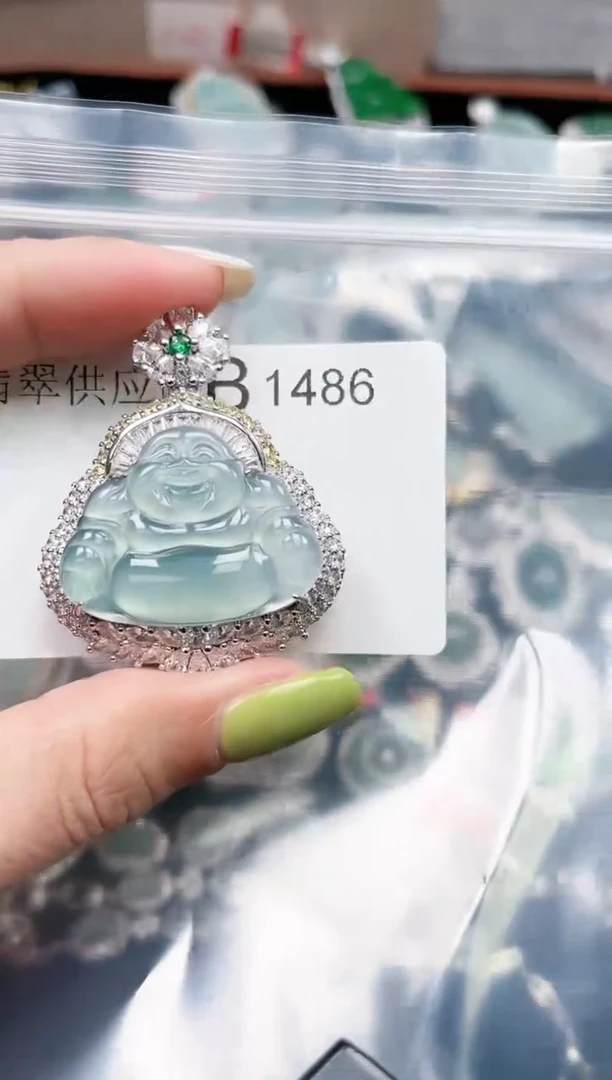 【闪购商品】翡翠颈饰未镶嵌赠皮绳1486