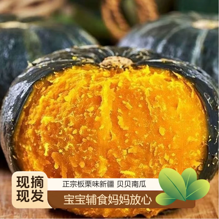 新疆板栗味贝贝南瓜粉糯香甜现摘现发贝贝南瓜 新疆直发包邮