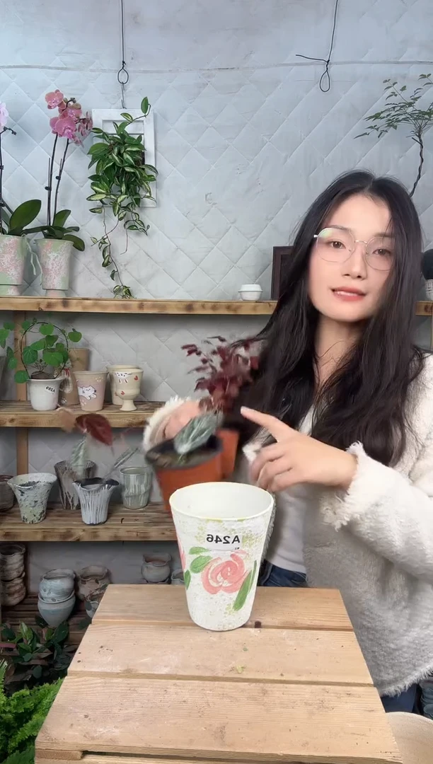 无花朵246景德镇手绘花盆